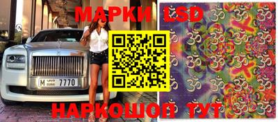 прущие грибы Можга