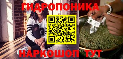 прущие крисы Моздок