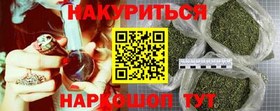 прущие грибы Можга
