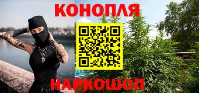 прущие крисы Моздок
