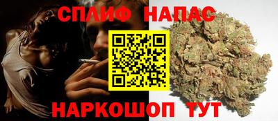 прущие грибы Можга